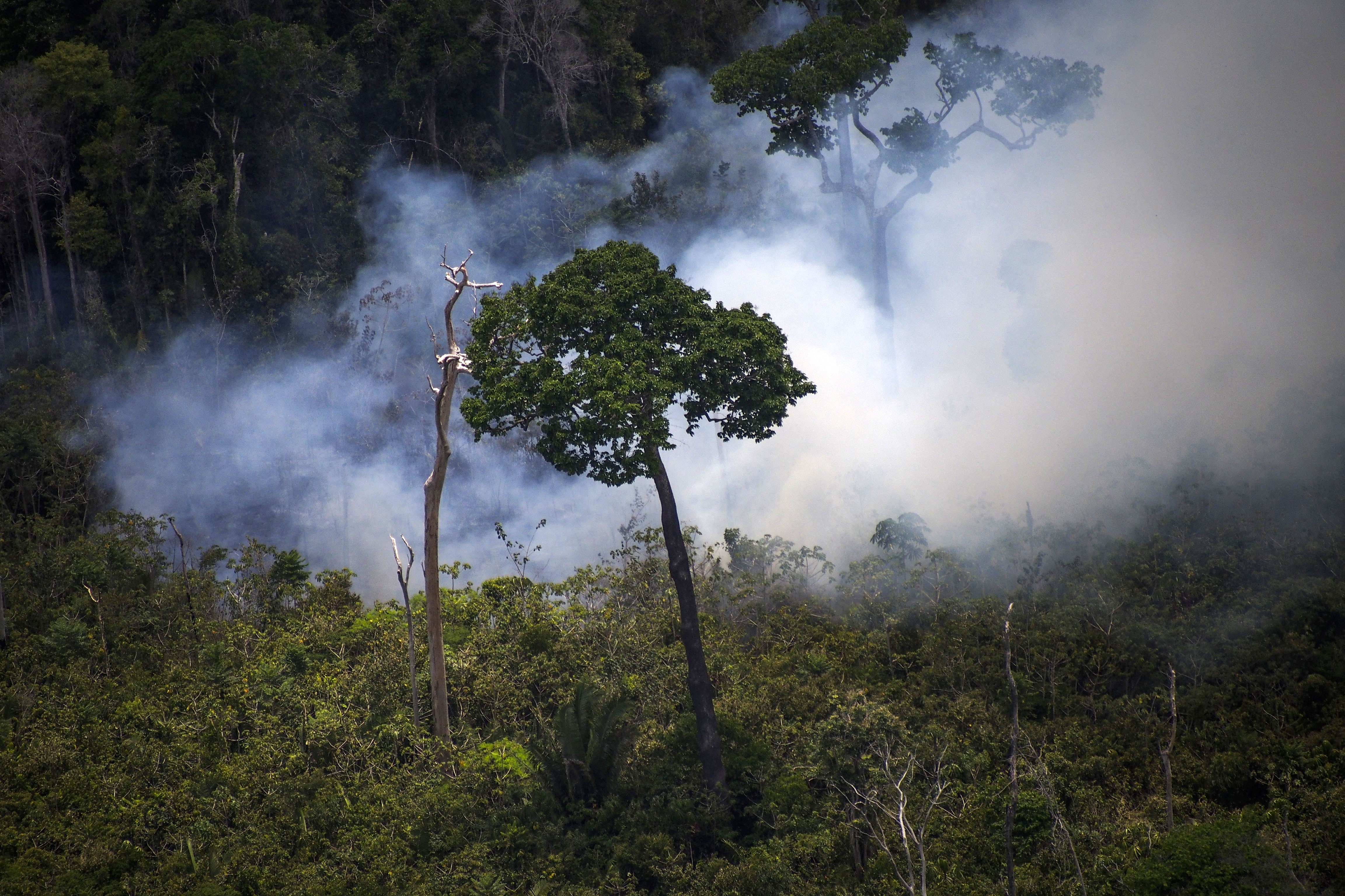 View of a forest fire in the Amazon forest during an overflight by Greenpeace activists over areas in the state of Pará, Brazil.