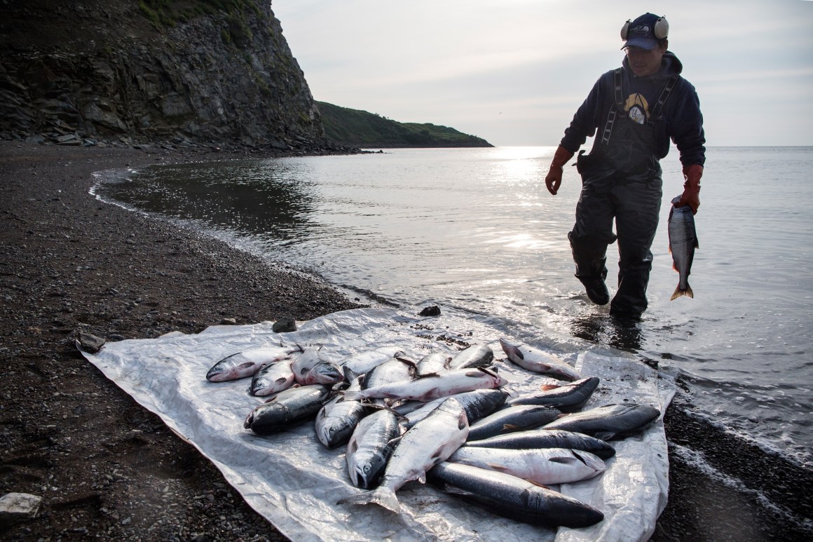 Joseph John Jr. washes freshly caught salmon with his son, Jeremiah John in Newtok, Alaska. Newtok has a population of approximately 375 ethnically Yupik people. As global temperatures rise, the village is being threatened by the melting of permafrost, greater ice and snow melt, and larger storms from the Bering Sea.