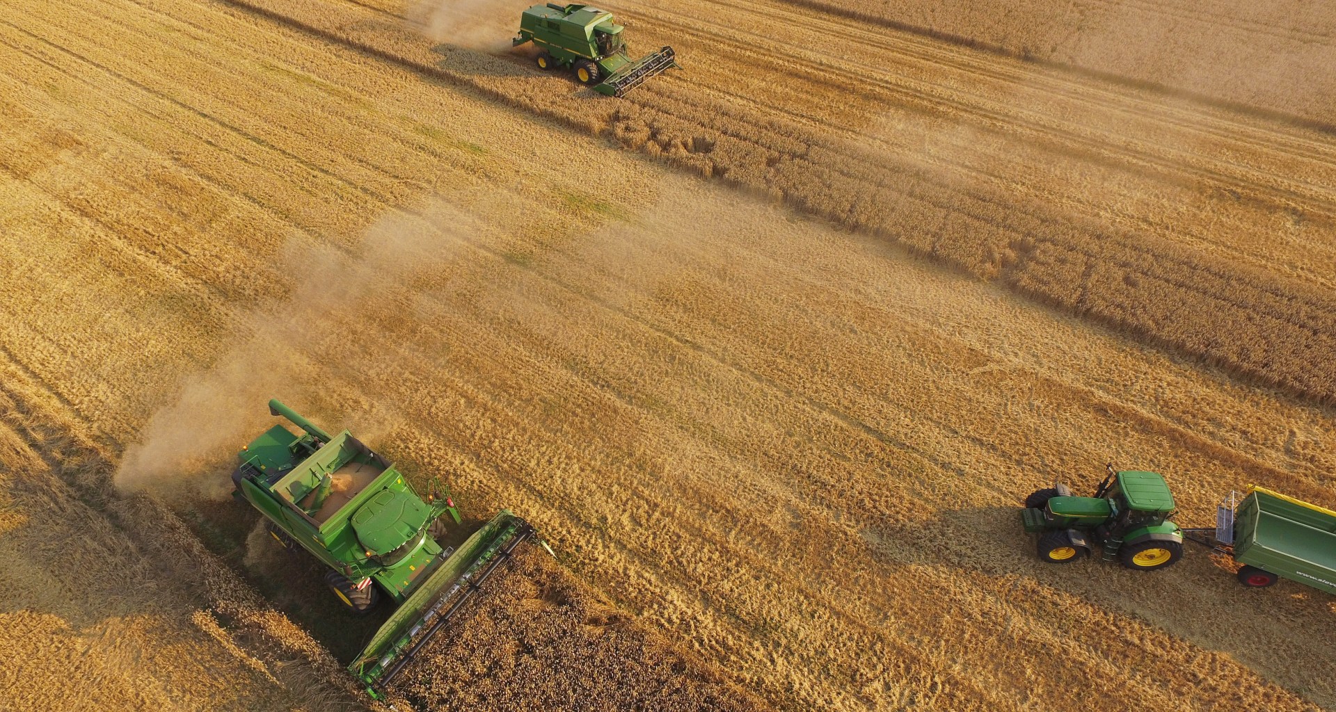 In this aerial view, combines harvest summer wheat at a cooperative farm on August 14th, 2015, near Grossderschau, Germany.