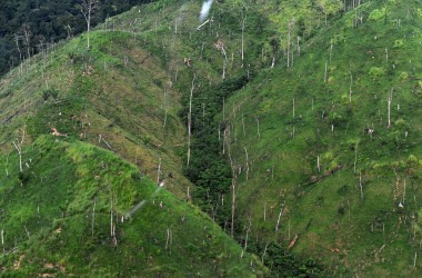 An aerial view of a deforested area in Río Plátano Biosphere Reserve, in Honduras.