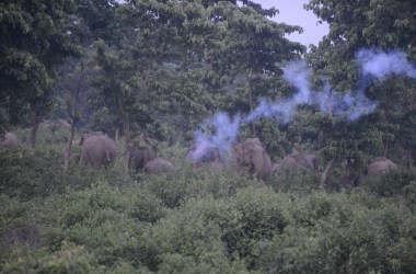 Smoke billowing out from the Kalabari forest in Nepal.