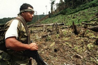 A Colombian soldier looks at a deforested land formerly used by drug traffickers for poppy plantations.