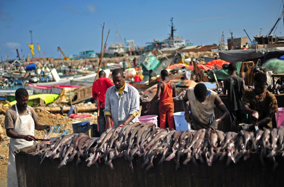 Somali vendors prepare fish for sale at Bosaso beach in Somalia on December 17th, 2016.