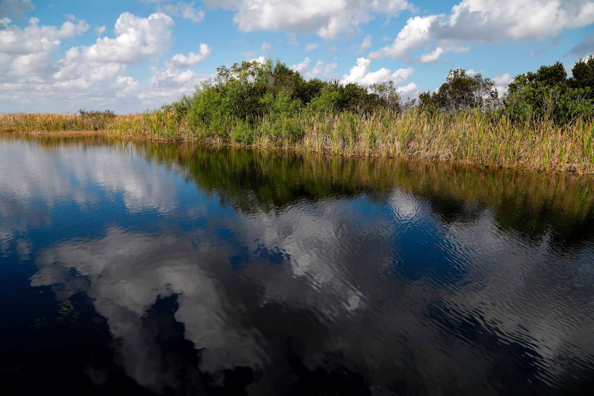 The Florida Everglades