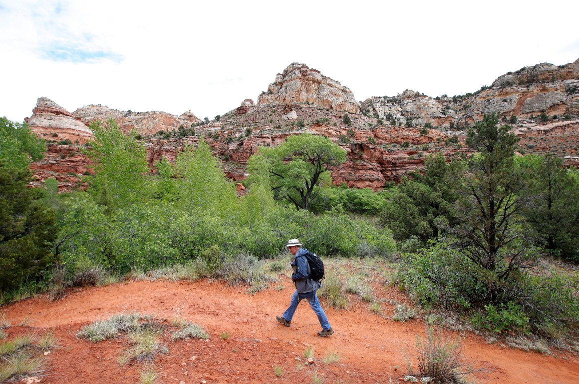 A hiker makes his way up a trail to Calf Creek in the Grand Staircase-Escalante National Monument on May 10th, 2017.