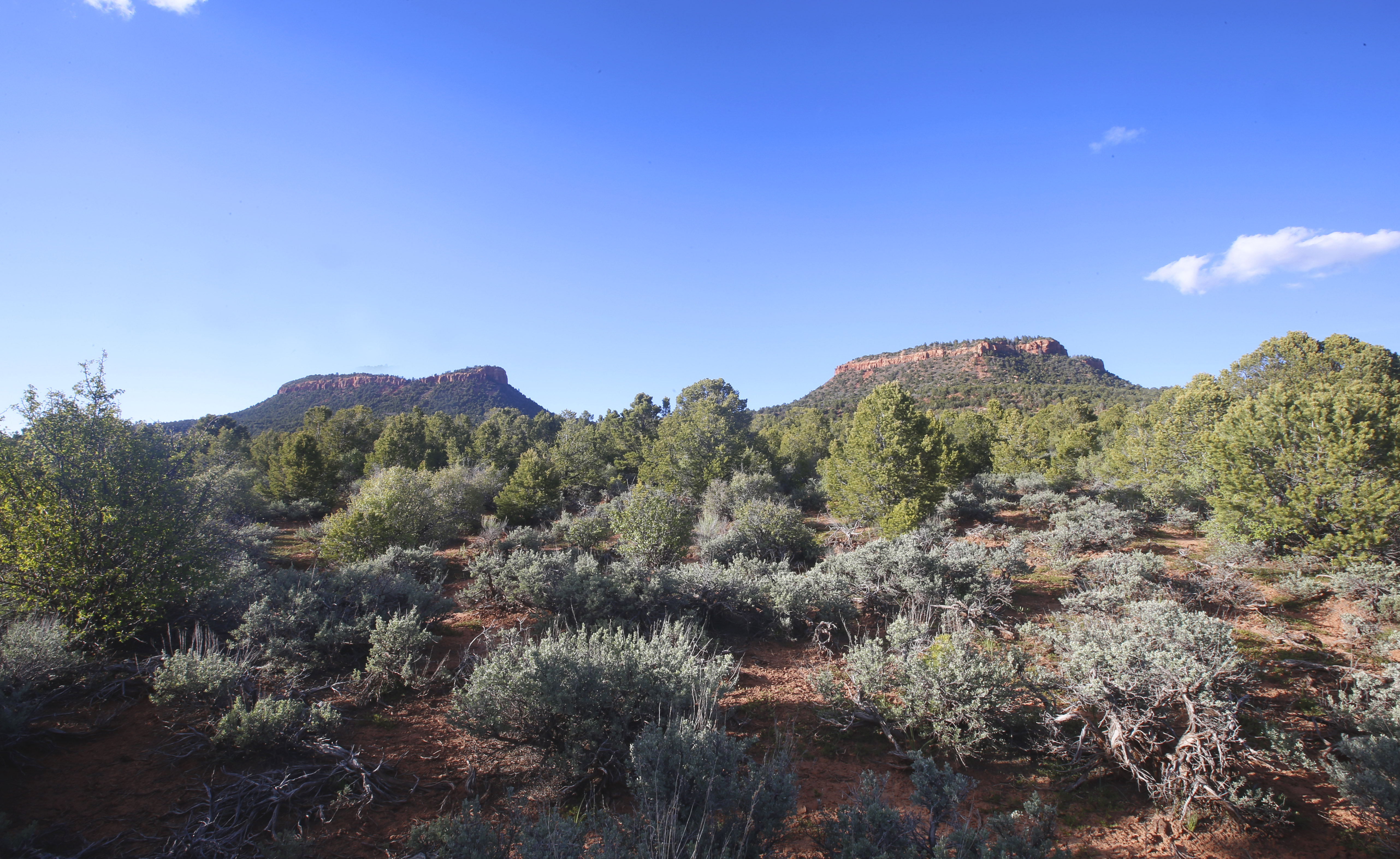 The two bluffs known as the Bears Ears stand off in the distance in the Bears Ears National Monument on May 11th, 2017.