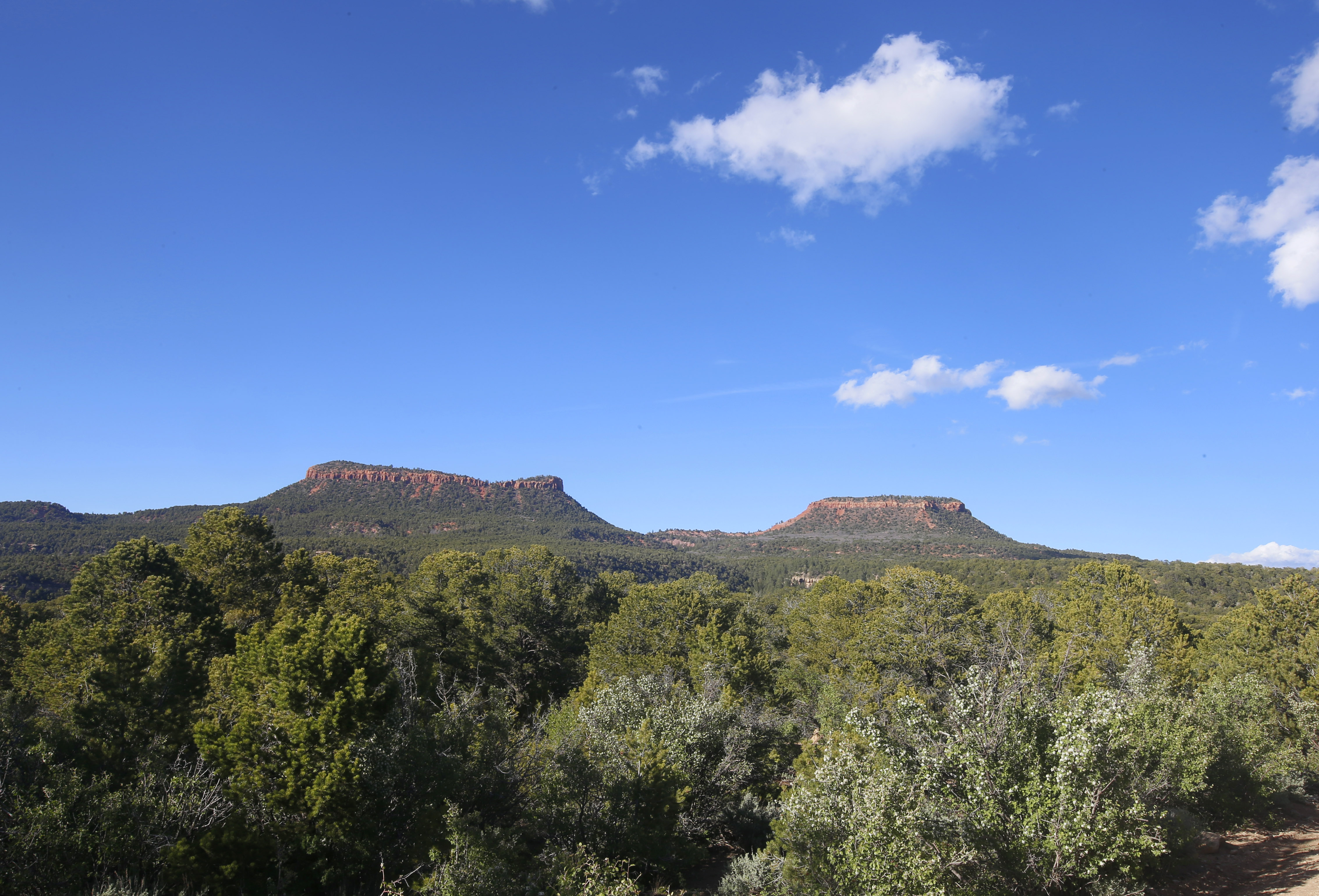 The two bluffs known as the Bears Ears stand off in the distance in Bears Ears National Monument.