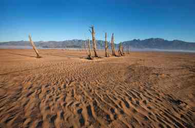 Bare sand and dried tree trunks stand out at Theewaterskloof Dam, outside of Cape Town, South Africa.