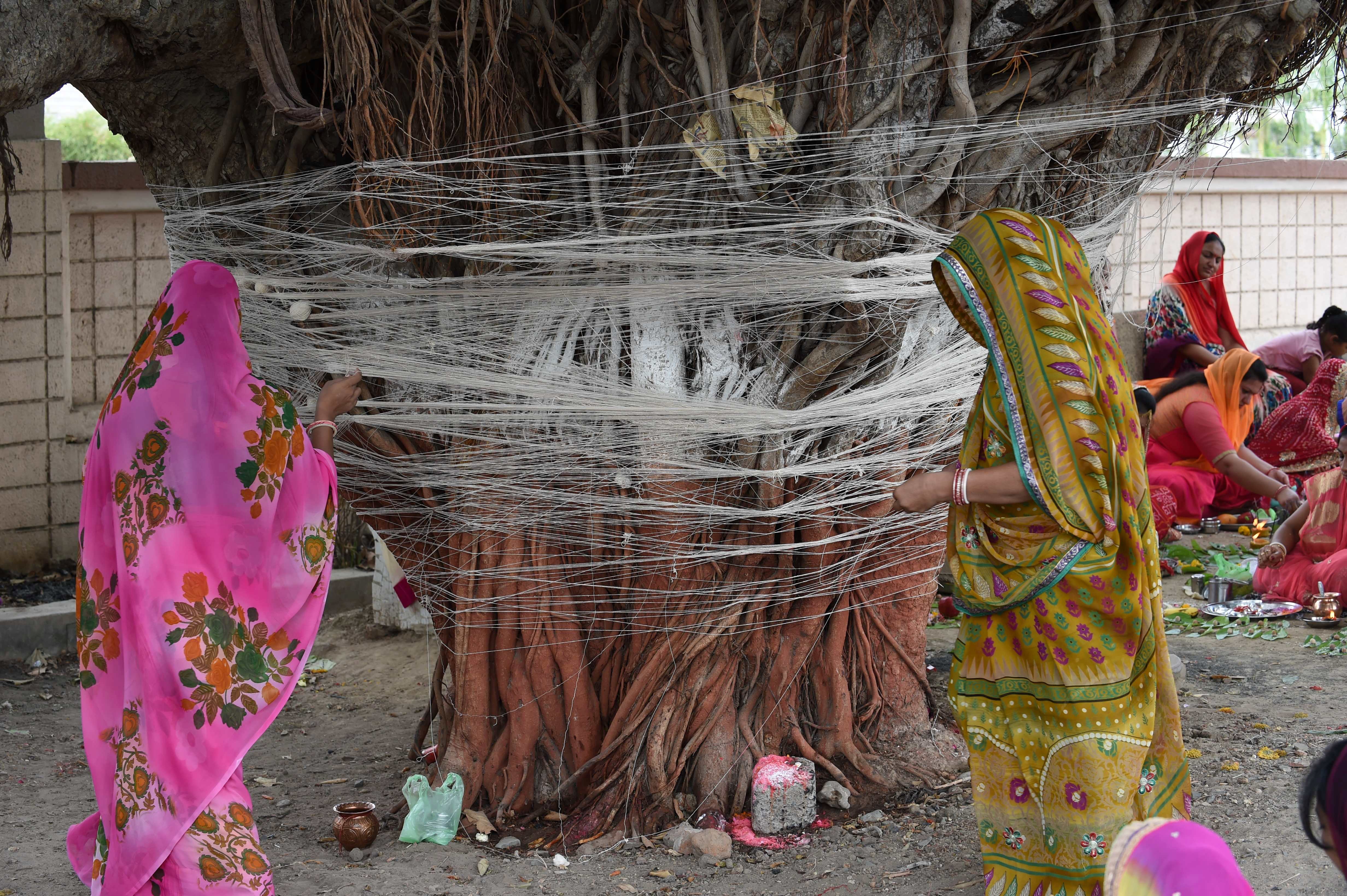 Indian Hindu devotees participate in a ceremony to mark Vat Savitri Purnima on the outskirts of Ahmedabad on June 8th, 2017.