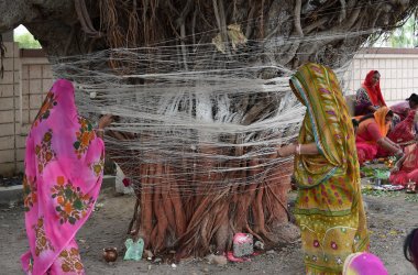 Indian Hindu devotees participate in a ceremony to mark Vat Savitri Purnima on the outskirts of Ahmedabad on June 8th, 2017.