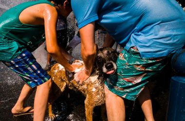 A man and a boy wash and cool off their dog with the water of an opened fire hydrant in Pantin near Porte de La Villette, north of Paris, on June 21st, 2017.