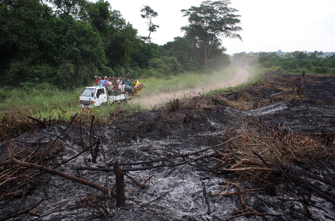 A stretch of jungle, scorched for agricultural use, in the Democratic Republic of Congo.