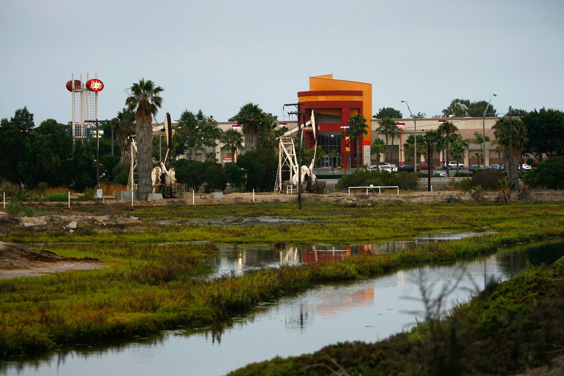 The Los Cerritos Wetlands.