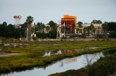 The Los Cerritos Wetlands.