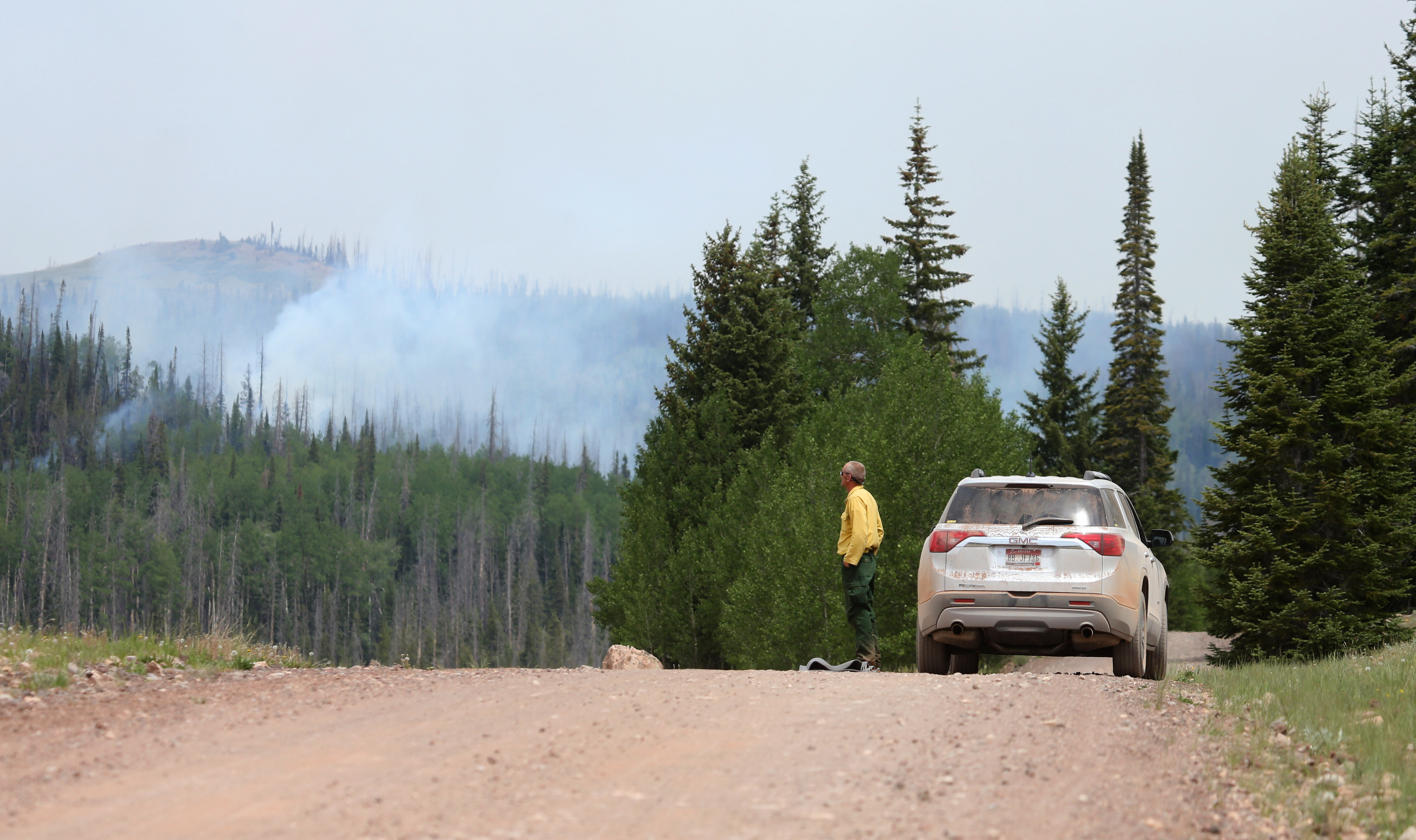 A firefighter stands watch over his crew as they work a wildfire that is burning in the area on June 25th, 2017, outside Panguitch, Utah.