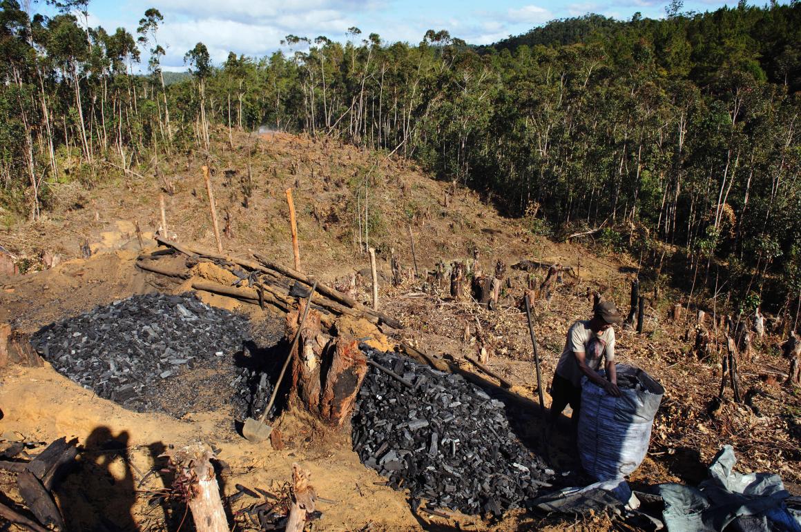 A man fills a bag with charcoal he and other men made after they cut down a patch of secondary forest near Andasibe in southwest Madagascar.