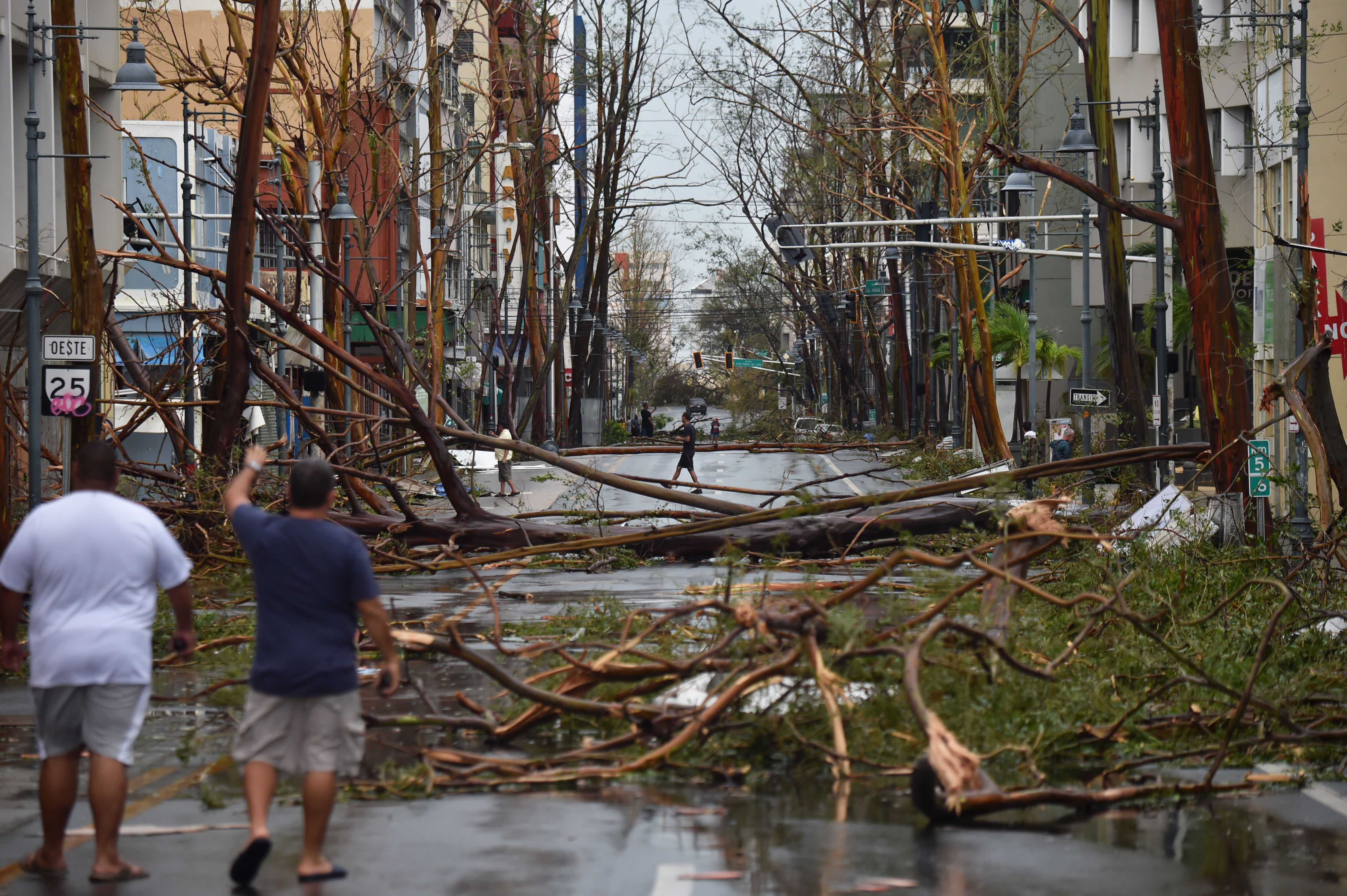 Men walk between damaged trees after the passage of Hurricane Maria in San Juan on September 20th, 2017.