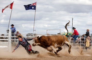 A bull chases down a rodeo clown at the 2017 Deni Ute Muster on September 29th, 2017, in Deniliquin, Australia.