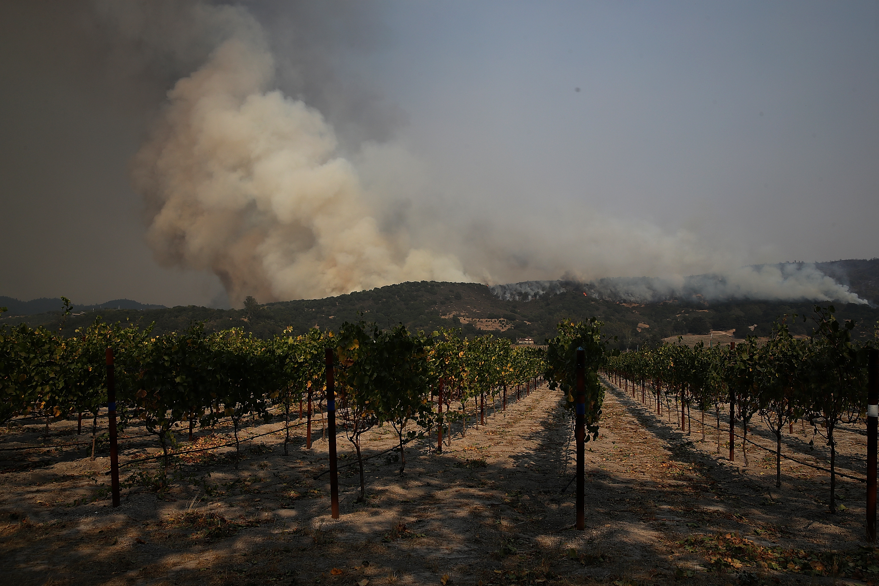 A wildfire approaches Gundlach Bundschu winery on October 9th, 2017, in Sonoma, California.