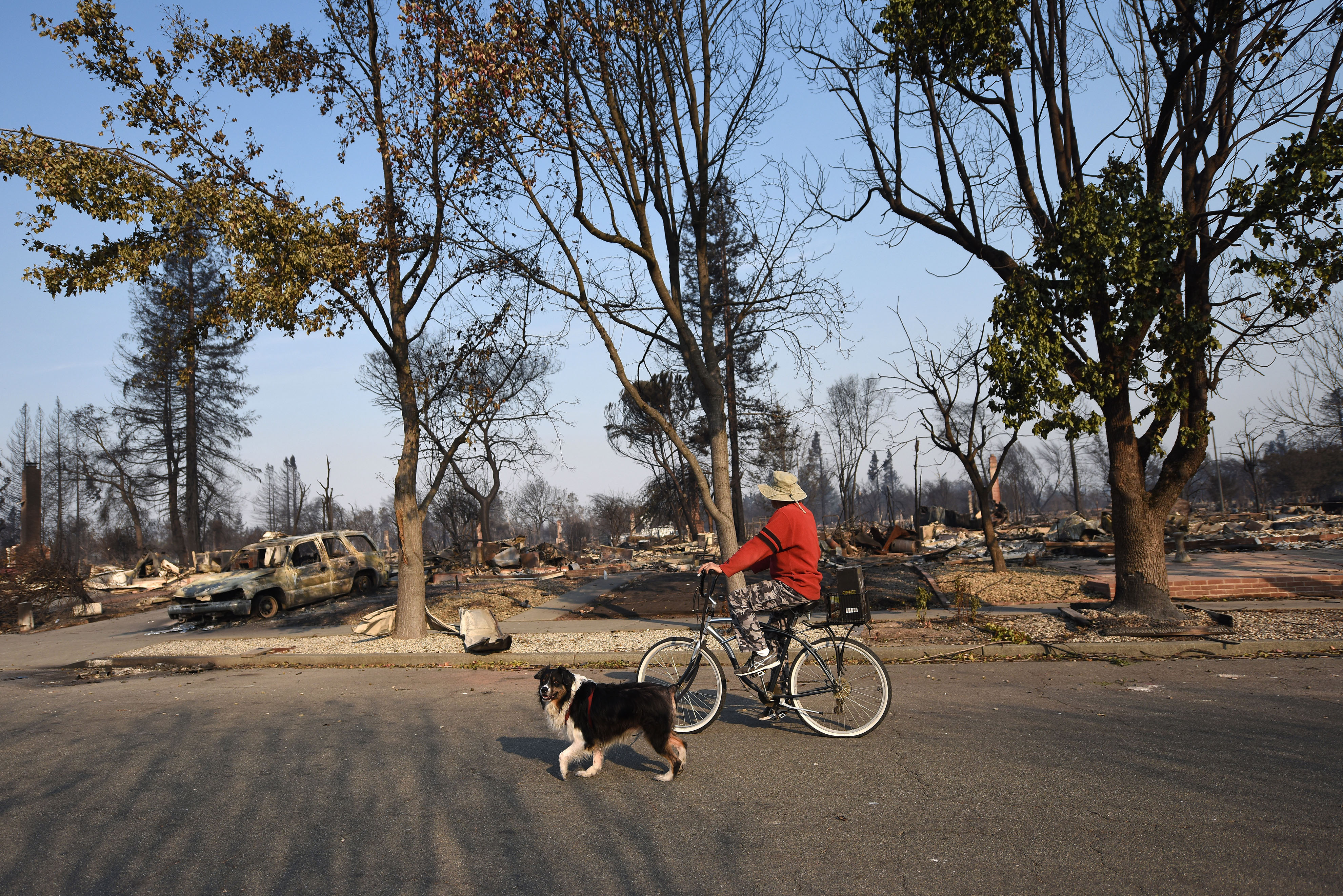 A man rides his bike through a neighborhood destroyed by wildfire in Santa Rosa, California, on October 11th, 2017.