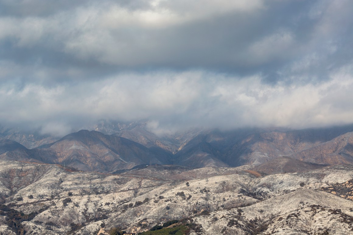 Ashen hills in Carpinteria, California, after the Thomas fire.