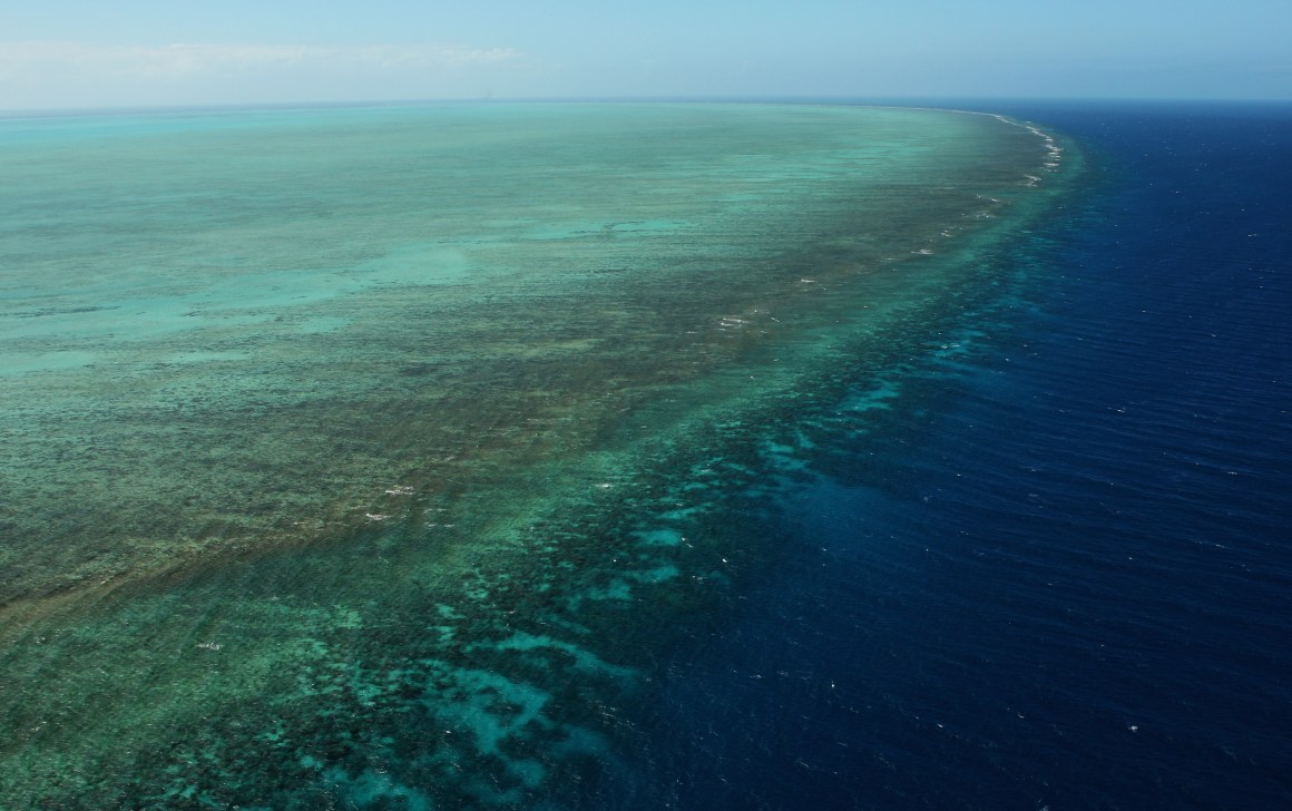 An aerial view of the Great Barrier Reef.