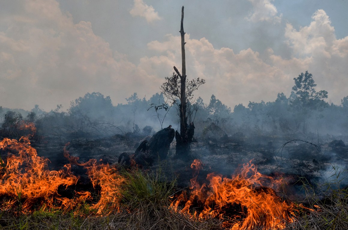 Smoke rises up from a peat-land fire in Pekanbaru, Riau province, on February 1st, 2018, one of 73 detected hotspots causing haze on the island of Sumatra. The haze is an annual problem in Indonesia caused by fires set in forest and on carbon-rich peatland in Indonesia to clear land for palm oil and pulpwood plantations.