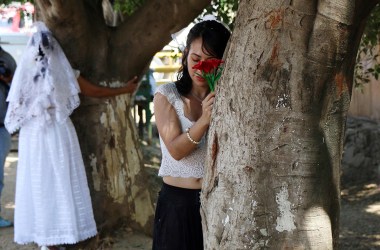 Environmental activists hug trees in Oaxaca State, Mexico, on February 25th, 2018.