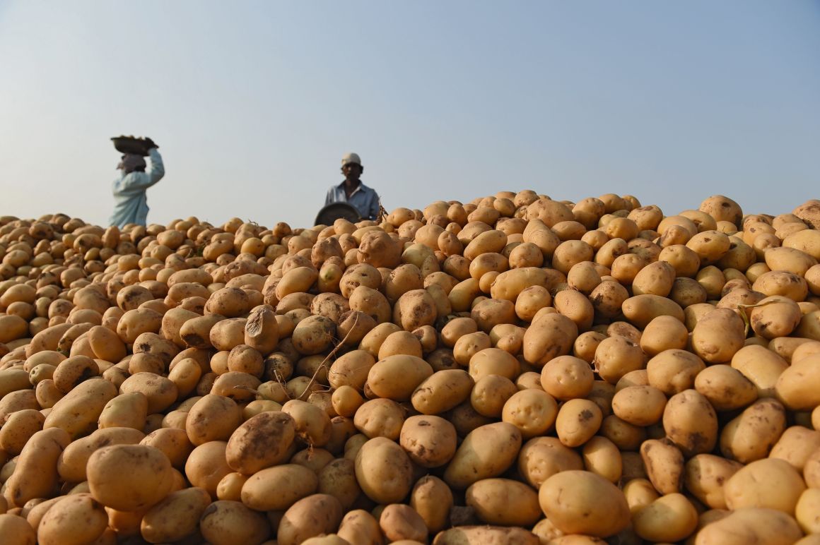 PepsiCo contracts more than 24,000 farmers to grow potatoes and rice for its chips.