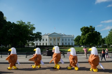 Advocates for national service dressed in bald eagle costumes rally in front of the White House in Washington, D.C., on May 7th, 2018. The protest organized by Service Year Alliance opposes the White House's budget proposal to eliminate national service programs like AmeriCorps and cut funding to the Peace Corps.