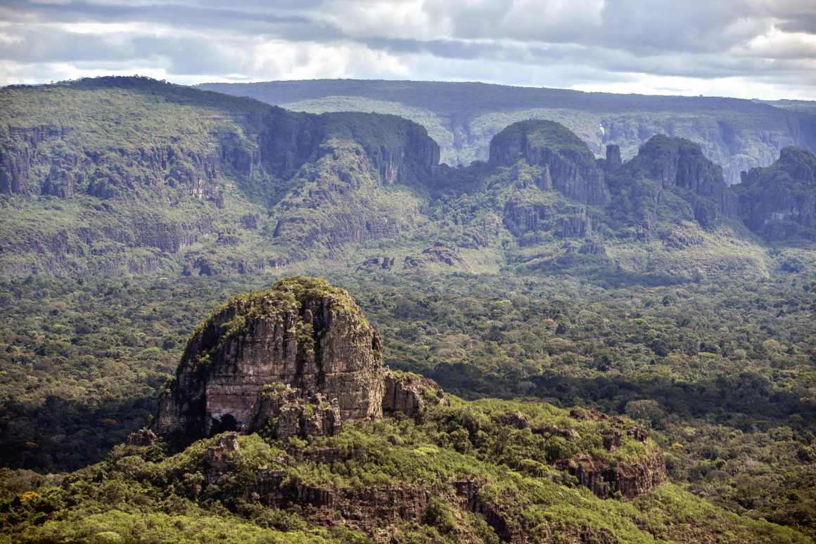 The Colombian Amazon.