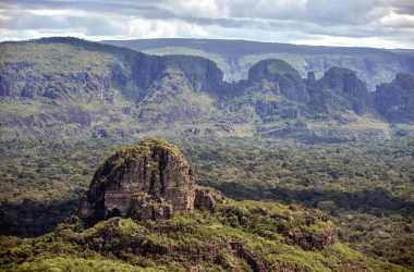 The Colombian Amazon.