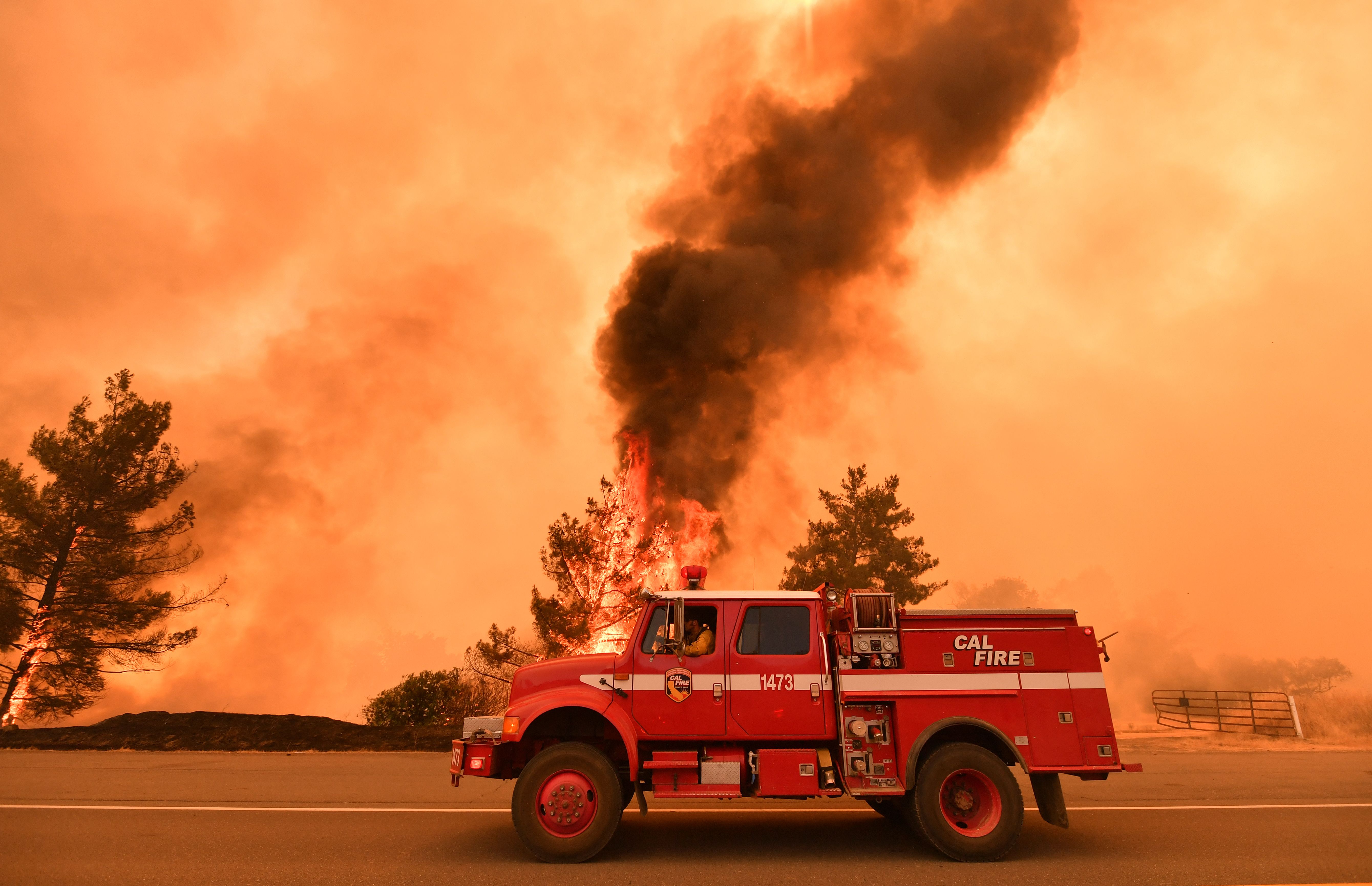 Firefighters work to control flames from the County Fire near Clearlake Oaks, California, on July 1st, 2018.