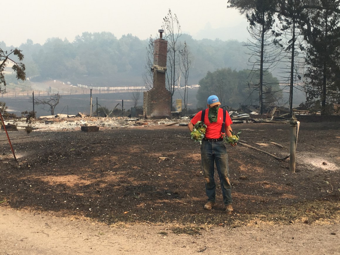 Farm employee Zebulon Siegel holds salvaged produce at Oak Hill Farm following the 2017 fires in Sonoma County, California.