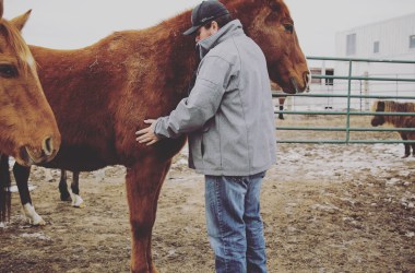 Greg Grey Cloud with his horse, "my friend, my horse nation relative, my brother Leon and I, sharing and trading back emotions and communicating."