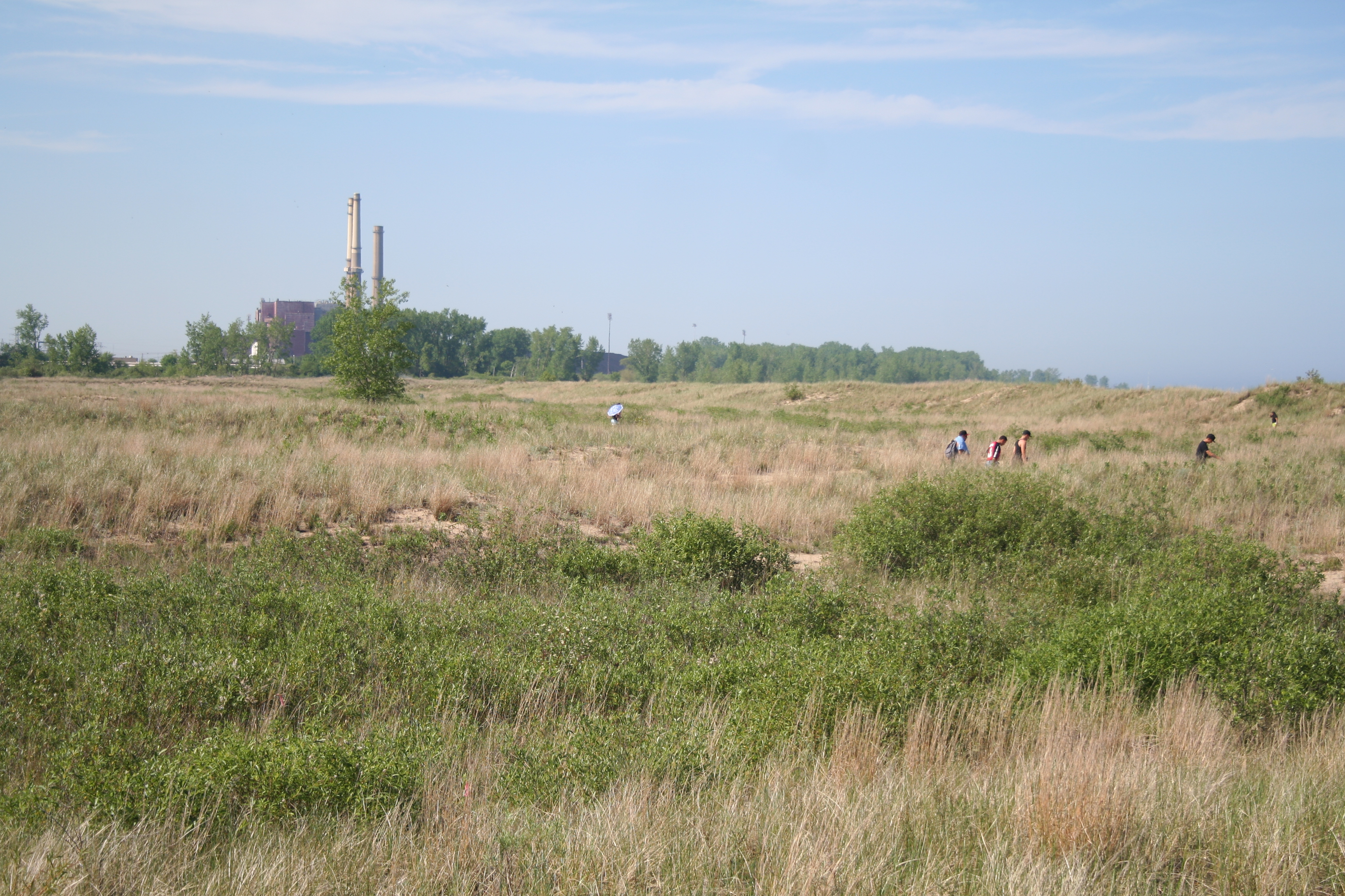 People walk out to the Waukegan beach. The red brick coal plant is operated by NRG Energy.