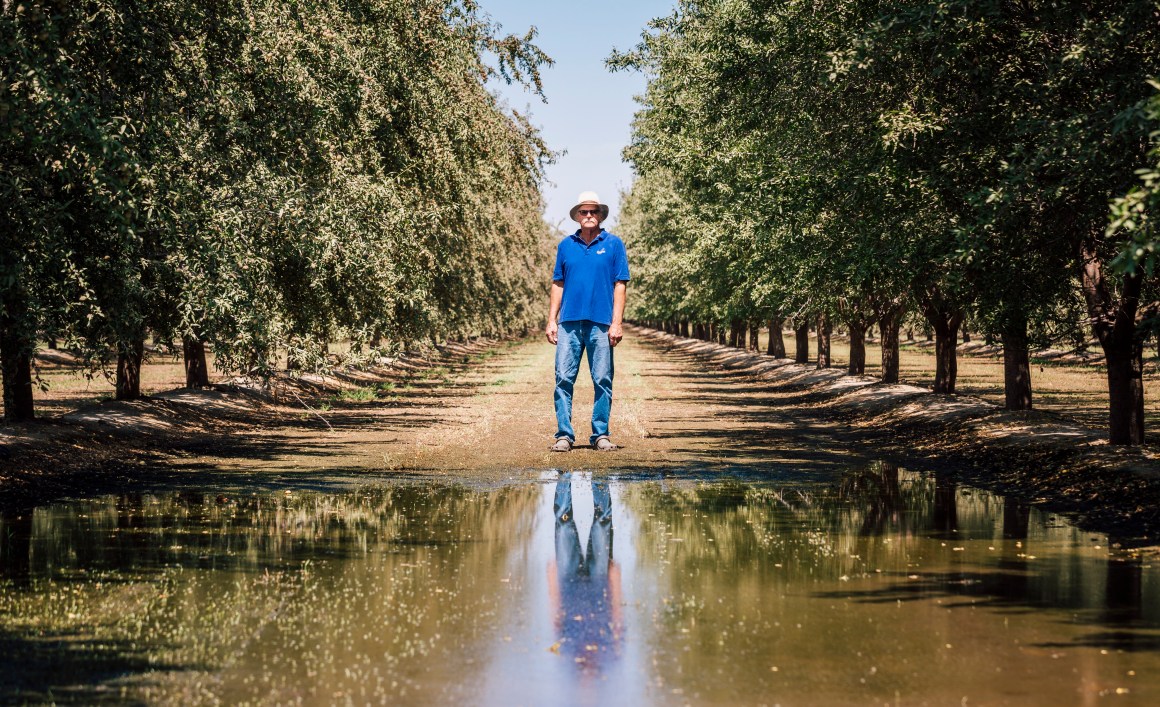 Tom Frantz on his almond grove in Shafter, California.