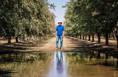 Tom Frantz on his almond grove in Shafter, California.