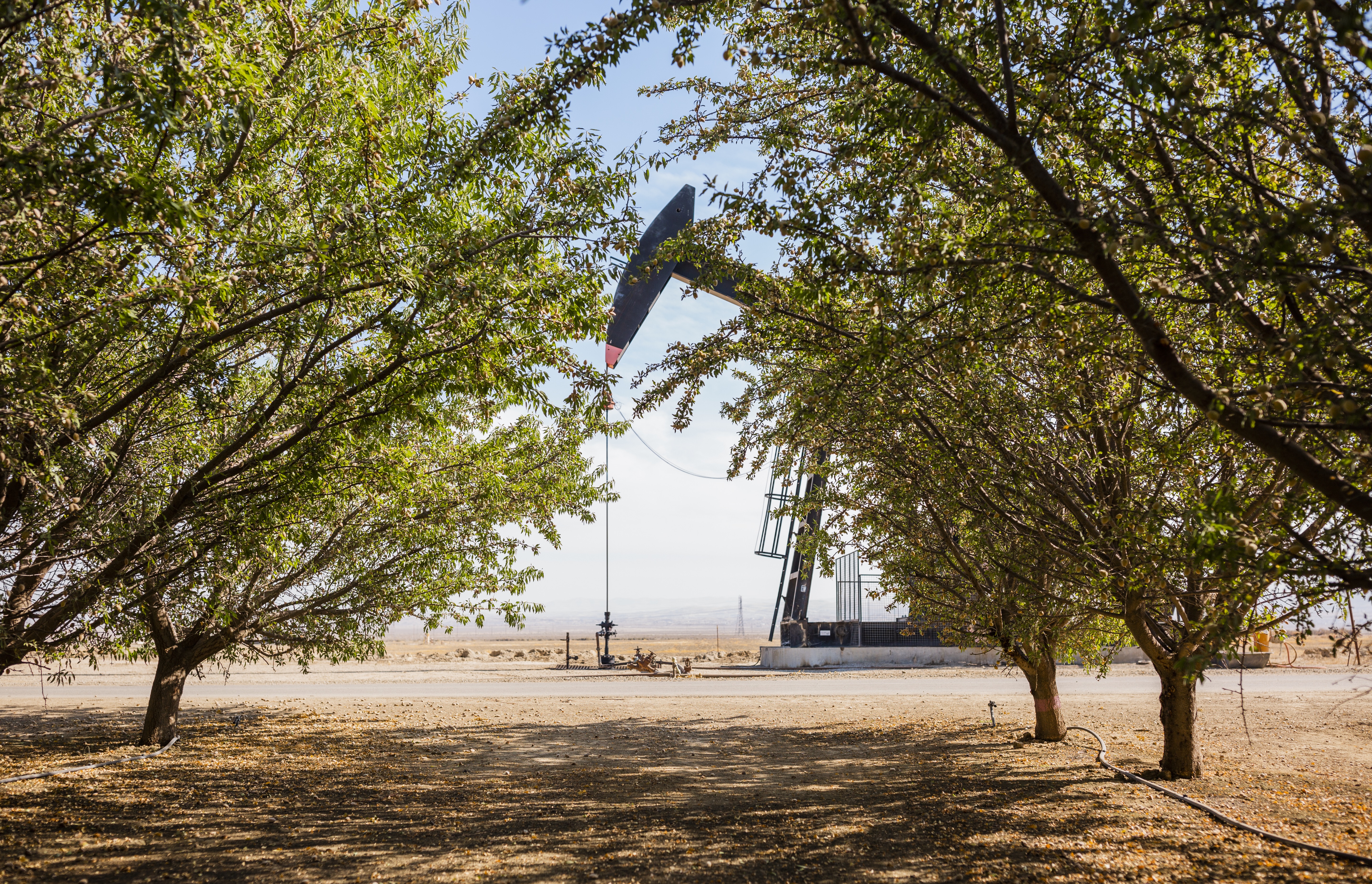 On the west side of Kern County oil operations intersect with high-quality agricultural land.