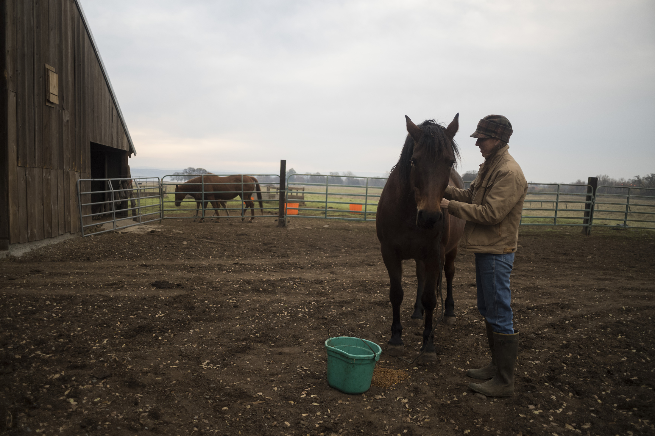 Owens tends to her horses on her ranch.