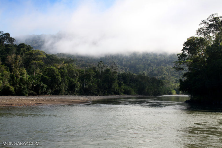 The Rio Pini Pini flowing out of Manu National Park in Peru.