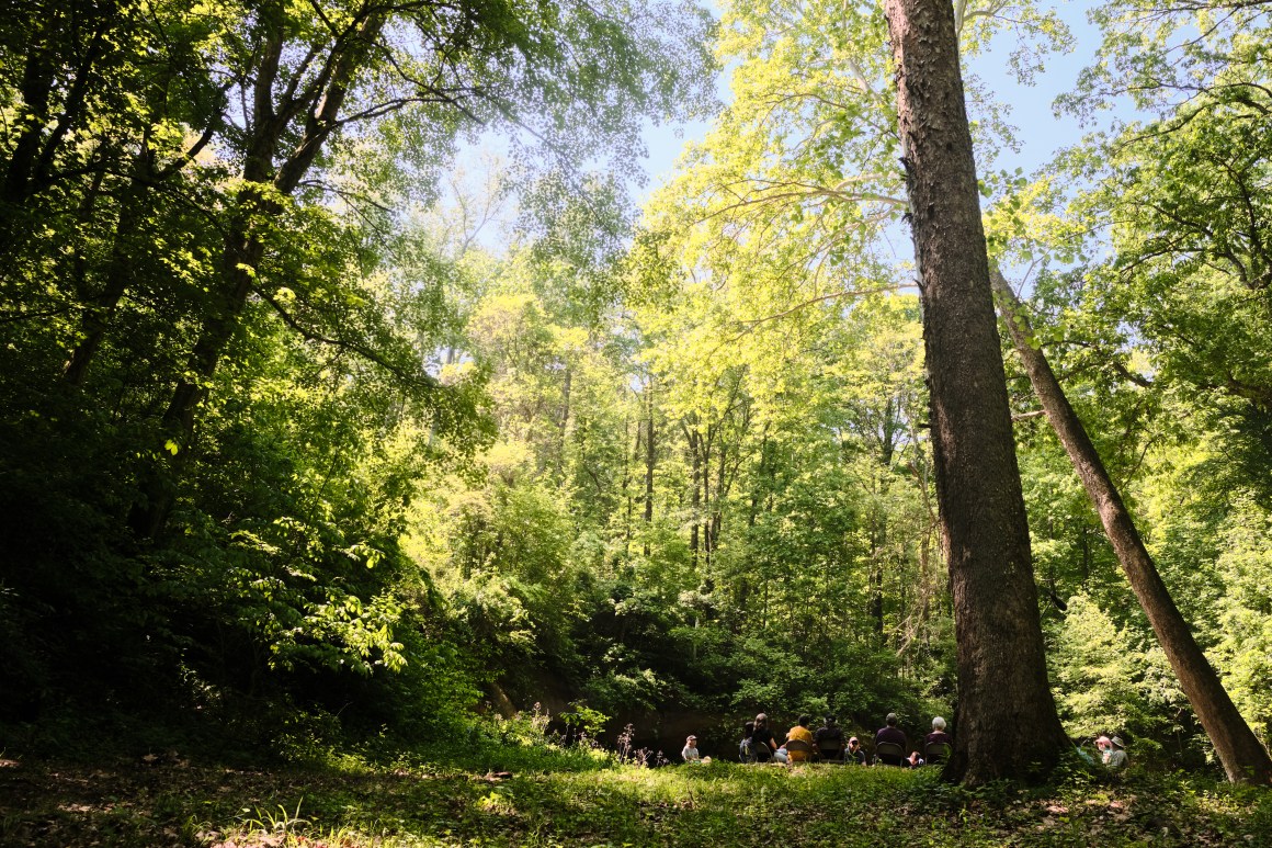 A Forest Listening Room at Robinson's Cave in Wayne National Forest in May.