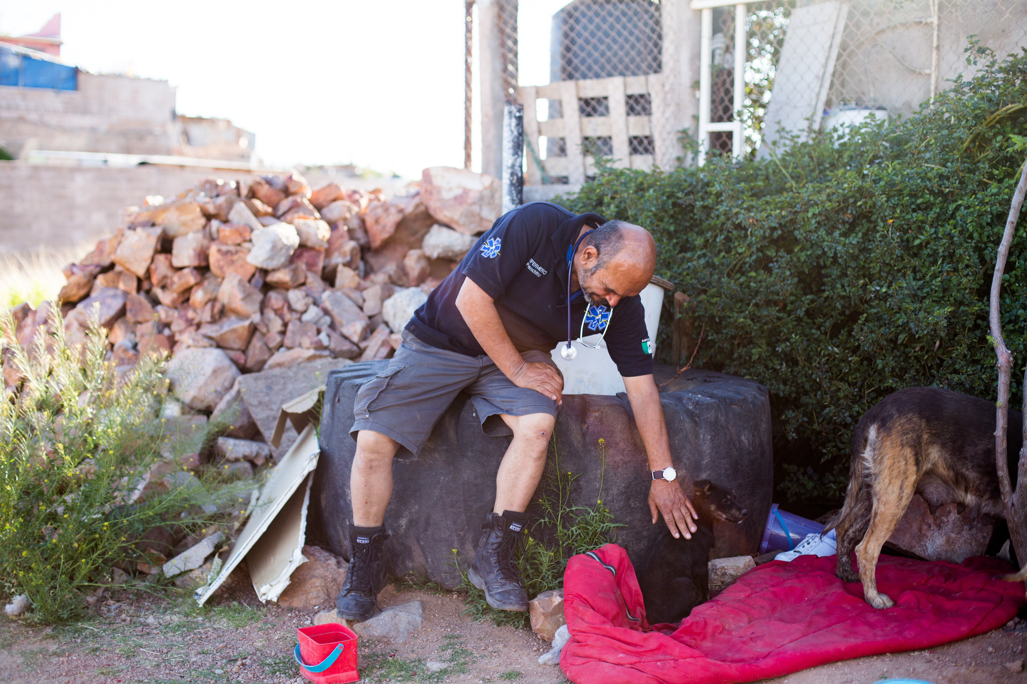 One of the many missions that keep Panchito busy in his life on the other side of the border is taking in and tending to stray dogs, feeding them and allowing them to stay in doghouses he builds outside his home.