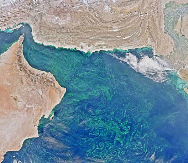A phytoplankton bloom in the Arabian Sea and Gulf of Oman (upper right).