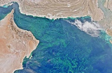 A phytoplankton bloom in the Arabian Sea and Gulf of Oman (upper right).