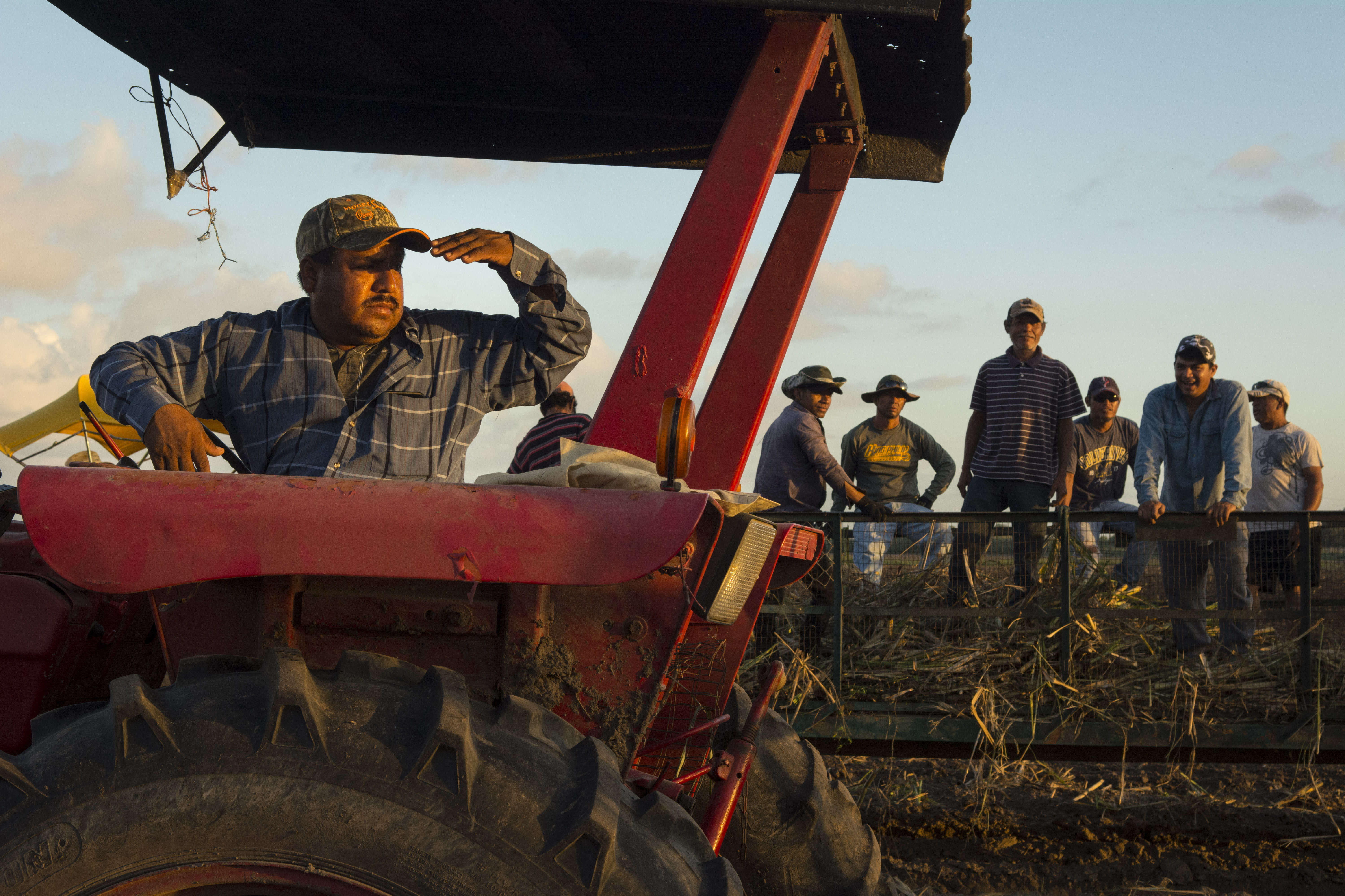 Day laborers prepare for a day of planting sugarcane in the fields of South Texas. Men riding in wagons toss cut sugarcane to the ground for others who follow behind and arrange the cane in rows for planting.