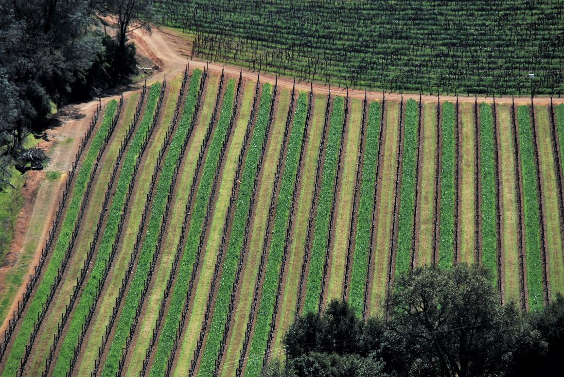 The Oat Hill Mine Trail in Napa Valley, California.