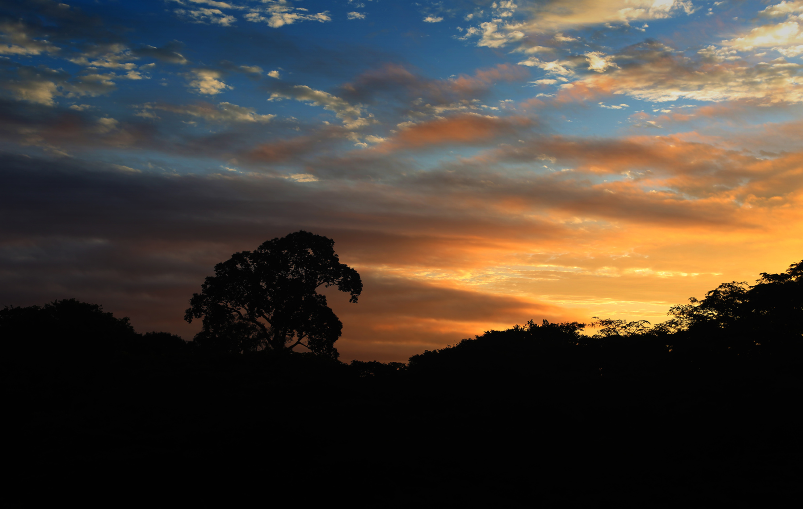 Sunset over the Amazon. Brazil's sudden fierce legislative and administrative attacks on the environment, indigenous people, and social movements originate with the country's agribusiness lobby, which is hungry to take over protected land in the Amazon and across the nation.