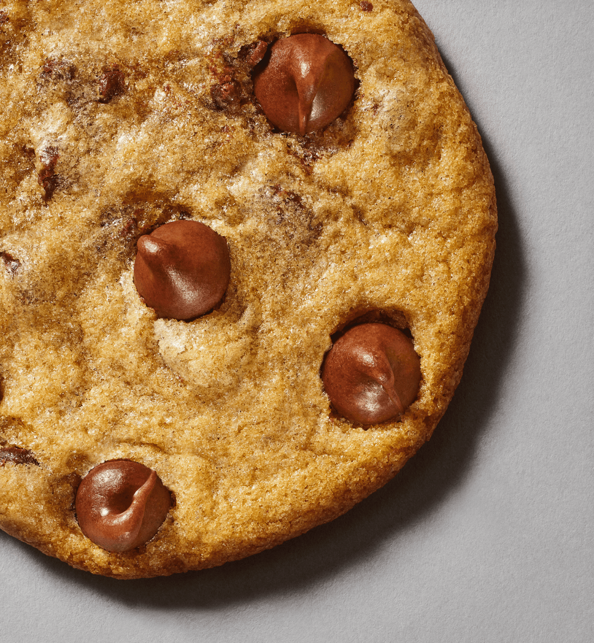 A chocolate chip cookie.