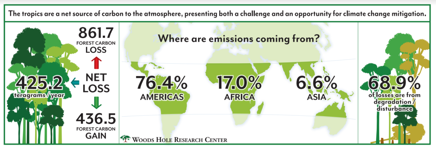 Carbon gains and losses in tropical forests across Asia, Africa, and the Americas.